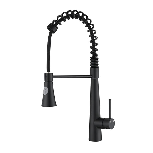 Kitchen Faucet with Pull Down Sprayer Matte Black